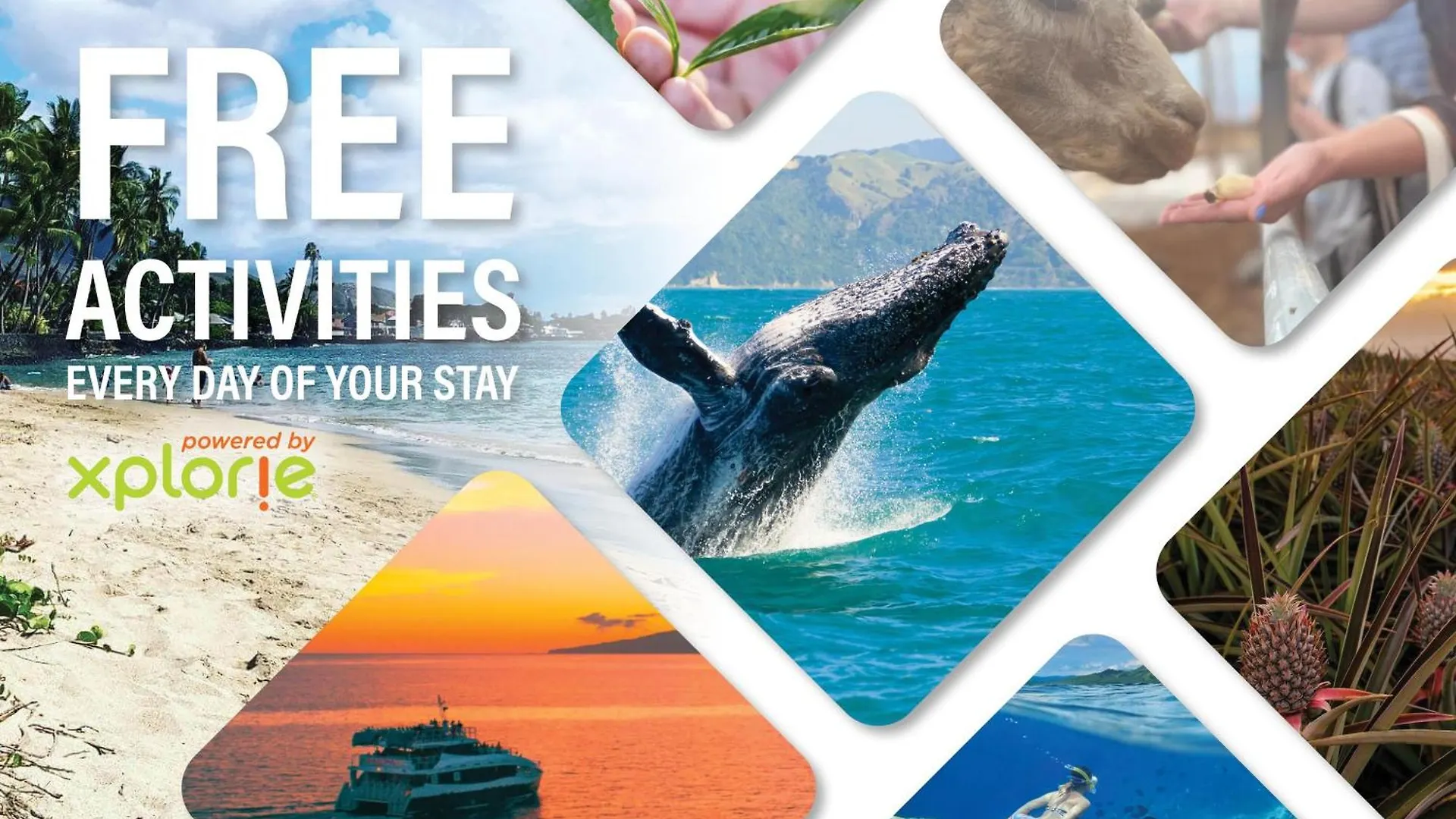 Pacific Shores B303 Кихей 0*,  США